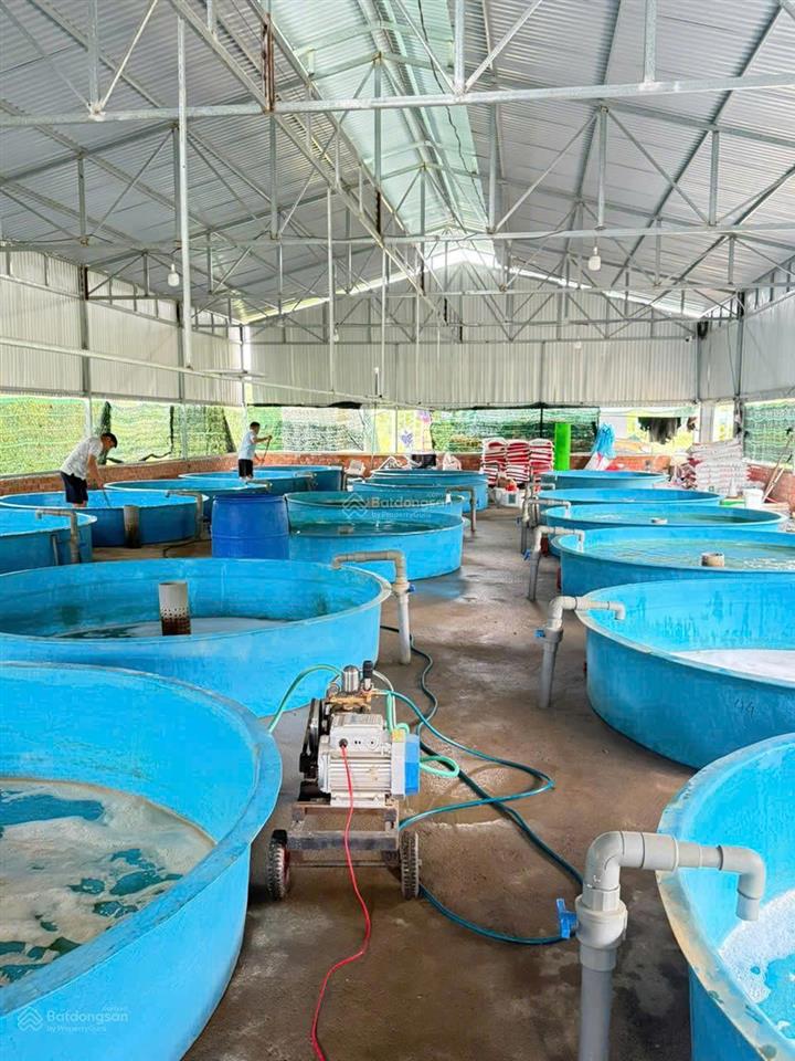 Chính chủ sang nhượng trang trại thủy sản 1 héc - ta hệ thống hiện đại, cách Đà Lạt 80km