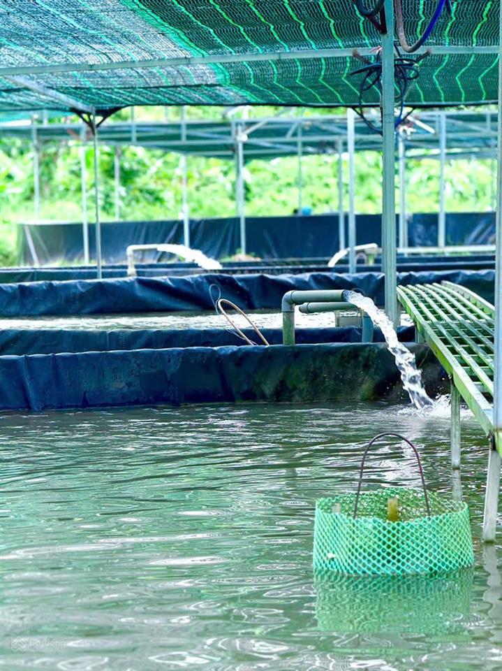 Chính chủ sang nhượng trang trại thủy sản 1 héc - ta hệ thống hiện đại, cách Đà Lạt 80km