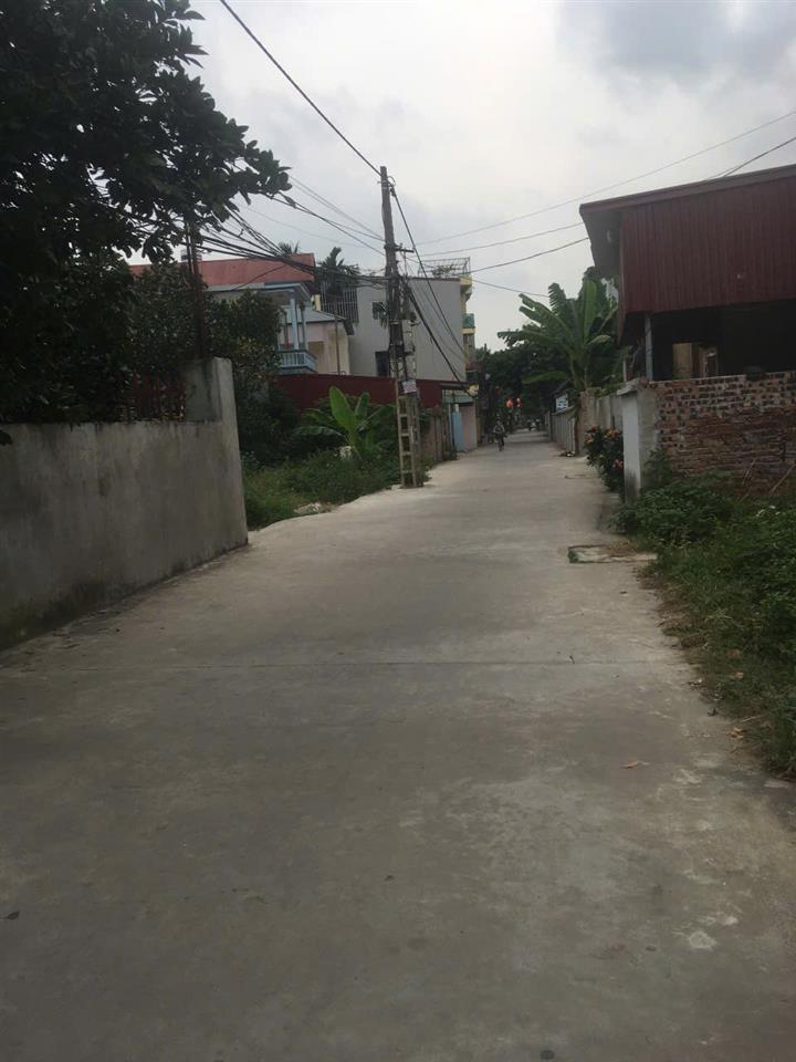 CHÍNH CHỦ BÁN ĐẤT TẠI TÂN TRẠI, PHÚ CƯỜNG, SÓC SƠN, HÀ NỘI.