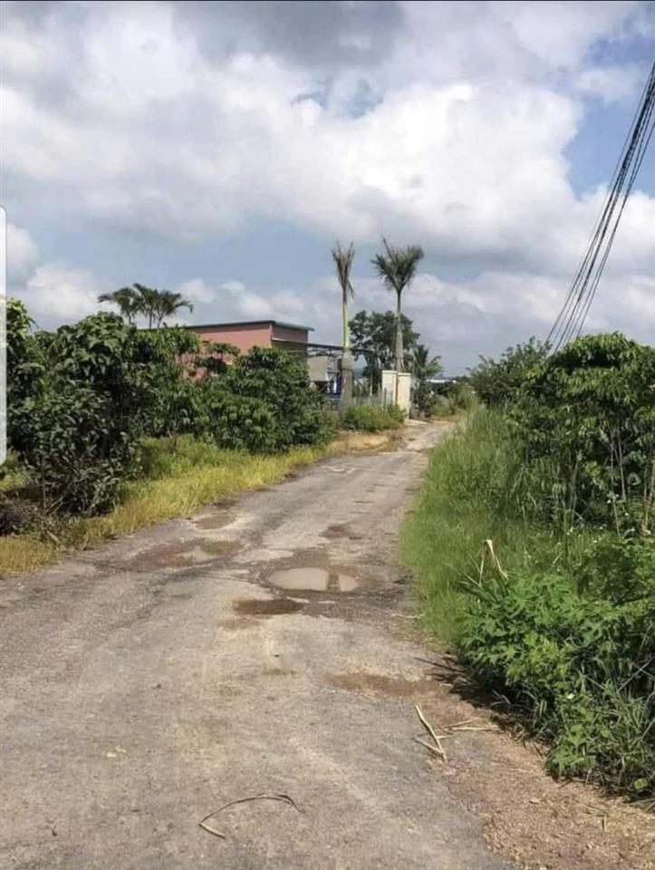 CƠ HỘI ĐẦU TƯ SINH LỜI CAO, CHÍNH CHỦ BÁN 2 LÔ ĐẤT LÂM HÀ, LÂM ĐỒNG.