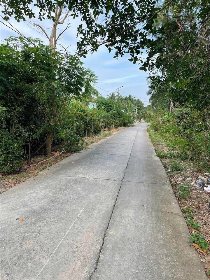 Mặt tiền đan nhánh trương văn kỉnh  phú hoà  long đức