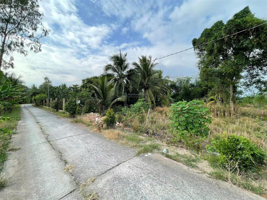 Mặt tiền đan nhánh trương văn kỉnh  phú hoà  long đức