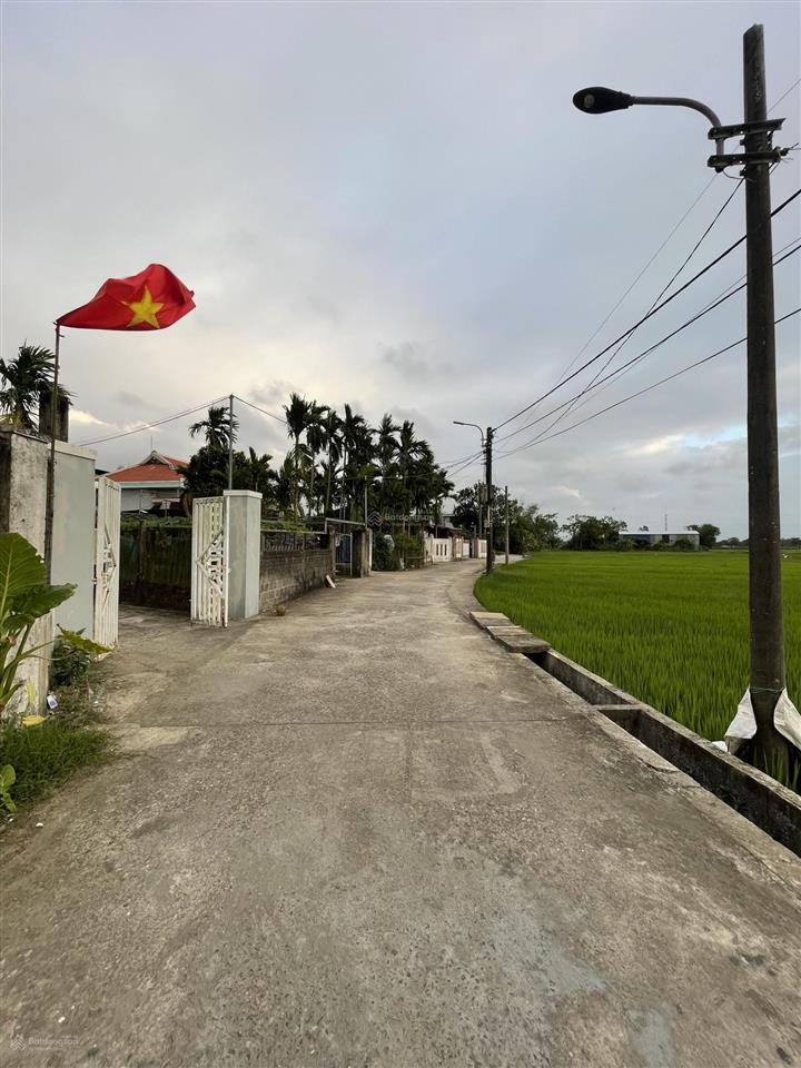 Cần bán lô đất đẹp gần chợ miếu bông hoà xuân giá rẻ
