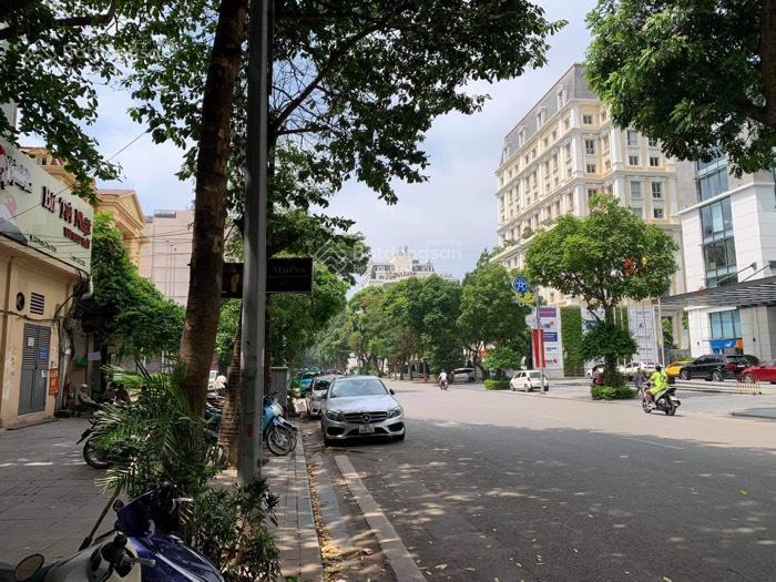 Mặt phố phan chu trinh, phố vip hoàn kiếm, lô góc, view hilton garden inn, 160m2, 7 tầng, thang máy