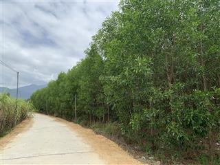 Bán đất mt thôn nông trường, xã tây ninh hòa, kh (xã ninh sim cũ), dt 12.570 m2.