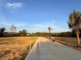 Chính chủ bán đất tại cây thông trong, 2,35 tỷ, 500m2, sổ đỏ đầy đủ, mặt tiền 15m, ngõ rộng 5m,