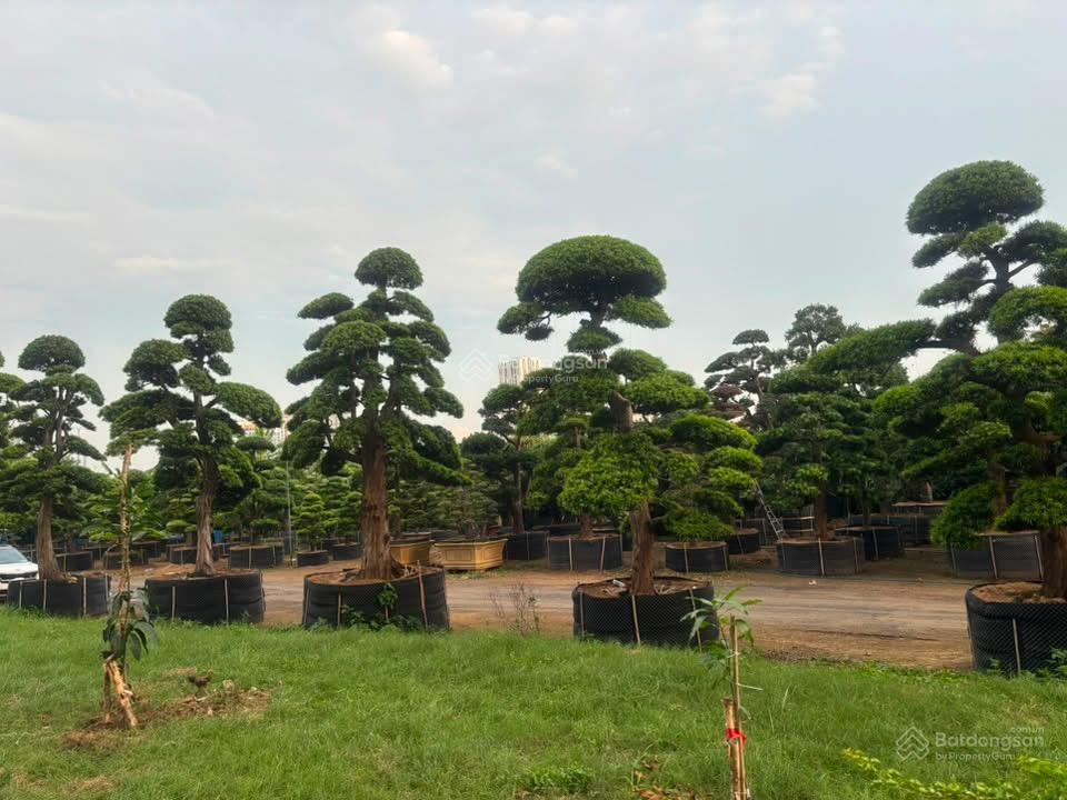 Bán căn hộ chung cư tại petrovietnam landmark, giá siêu hời 6,1 tỷ, 103m2