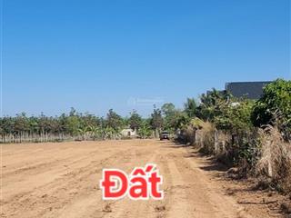 Hơn 1000m2 đất  cắt lỗ sâu chỉ 389tr