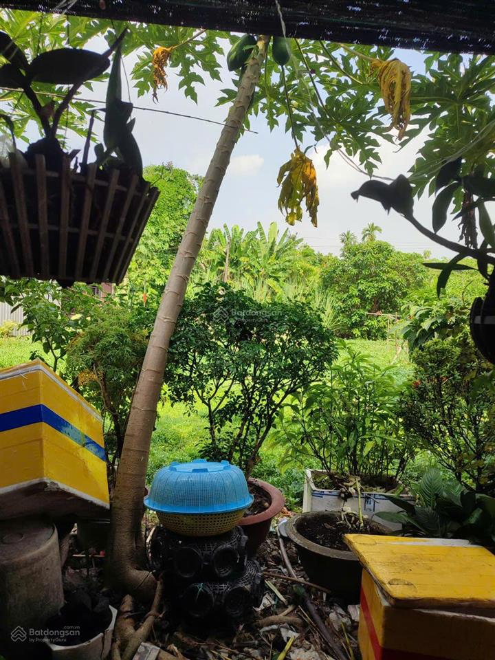 Chính chủ cần bán lô đất p.thạnh lộc, q12  sổ hồng chính chủ  giá 2,85 tỷ(tl).