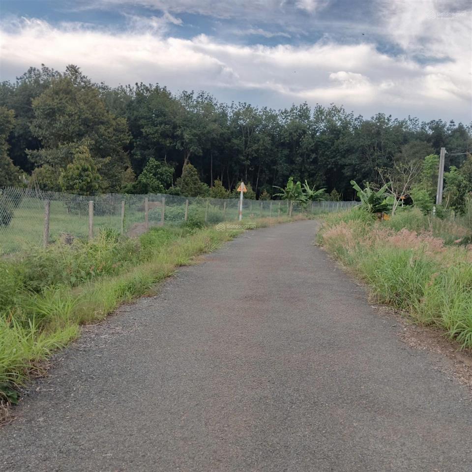 Bán đất tại tân thành, 650 triệu, 254.8m2, pháp lý đầy đủ