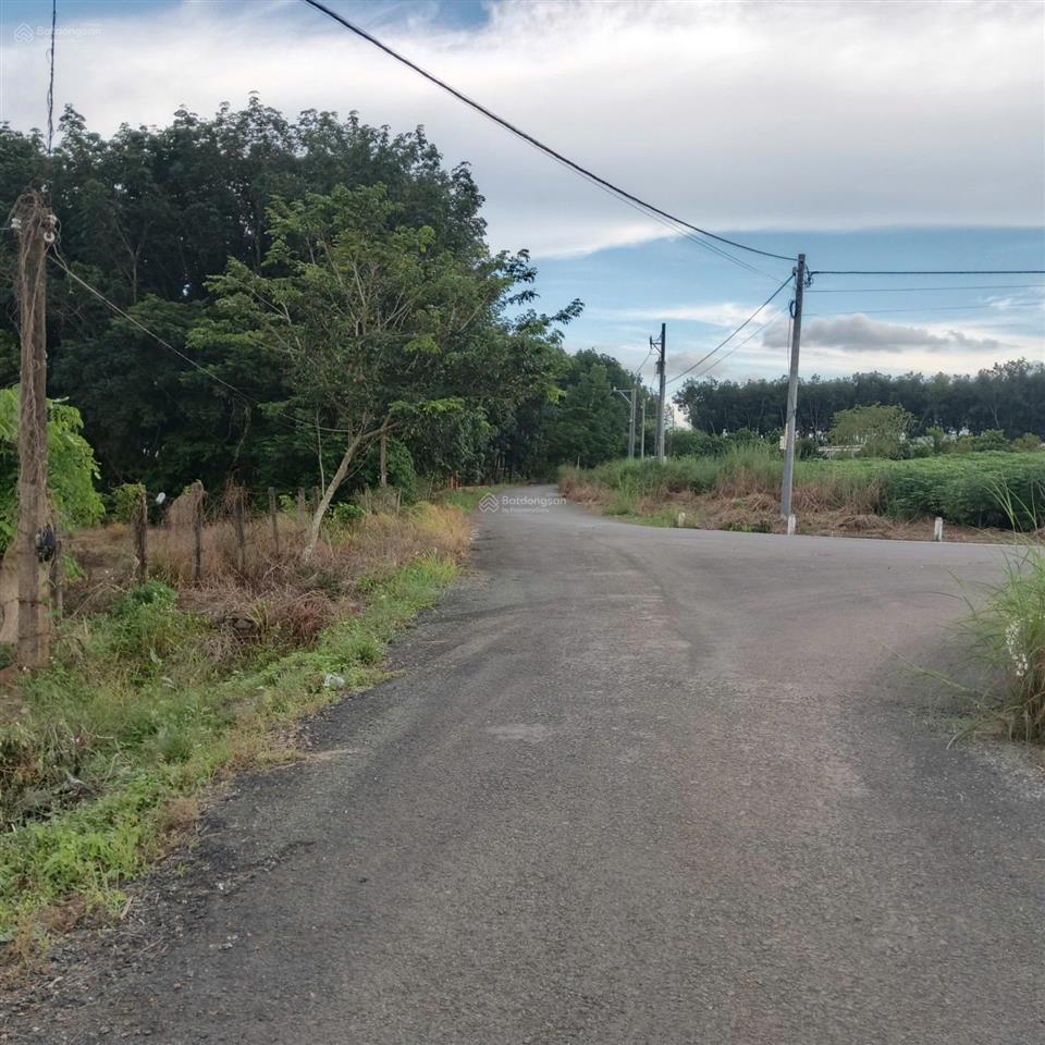 Bán gấp 2029m2 đường nhánh dt759b tại xã tân thành, bù đốp, bình phước