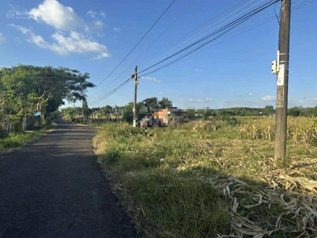 Bán đất tại tân thành, 5,2 tỷ, 1041 m2, mặt tiền 24,5m, ngõ 6m, giá ưu đãi, hot!