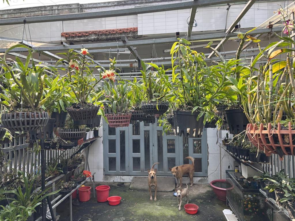 Nhà vườn có khai thác dòng tiền 18tr/tháng