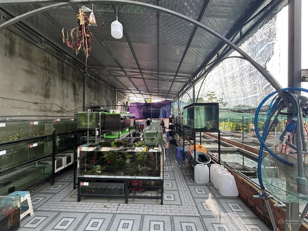 Nhà vườn có khai thác dòng tiền 18tr/tháng