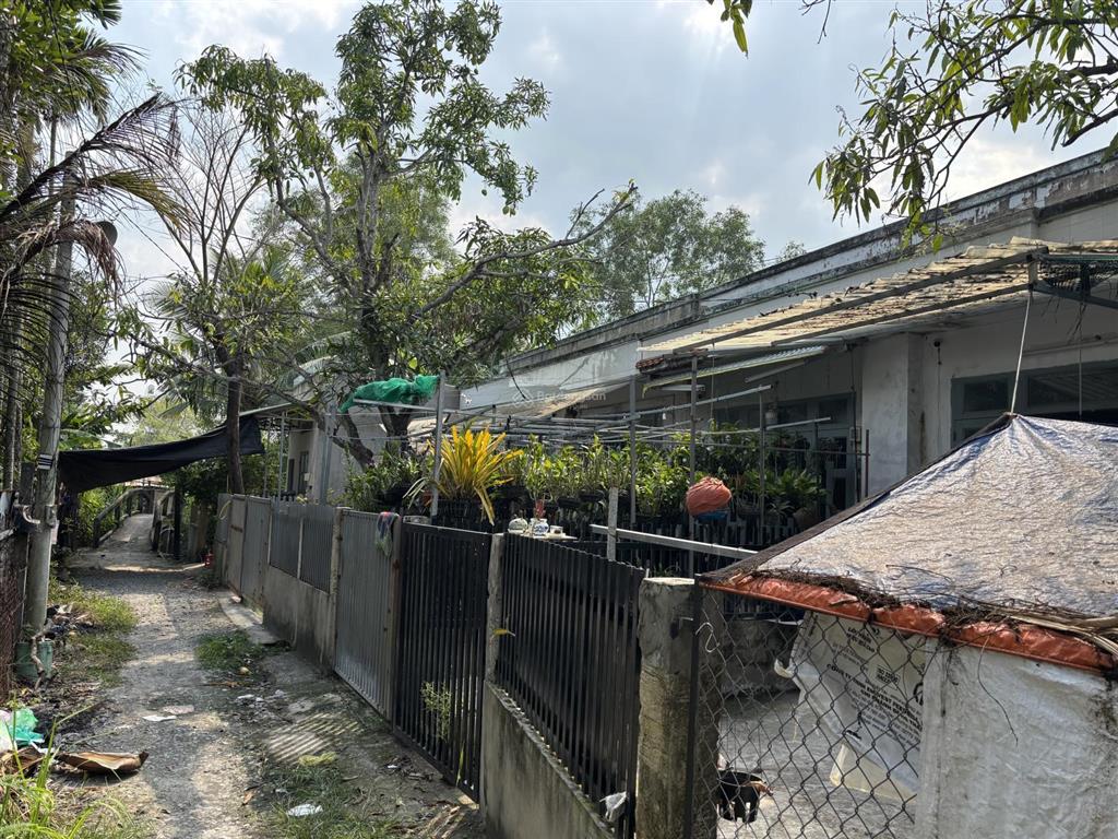 Nhà vườn có khai thác dòng tiền 18tr/tháng