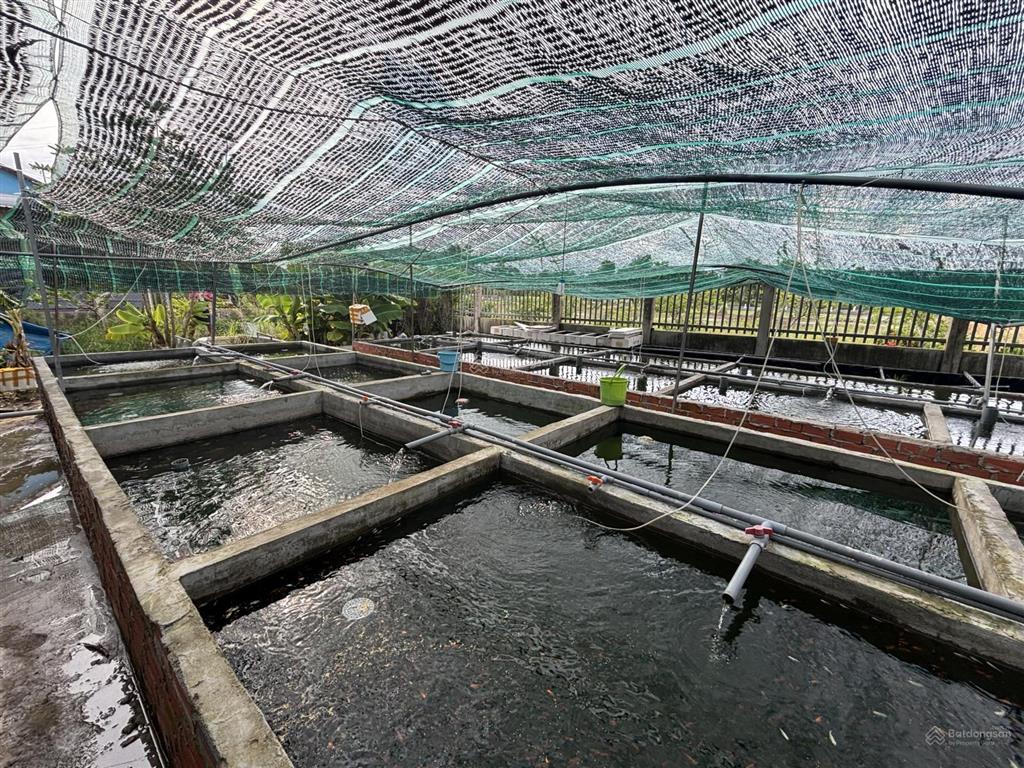 Nhà vườn có khai thác dòng tiền 18tr/tháng