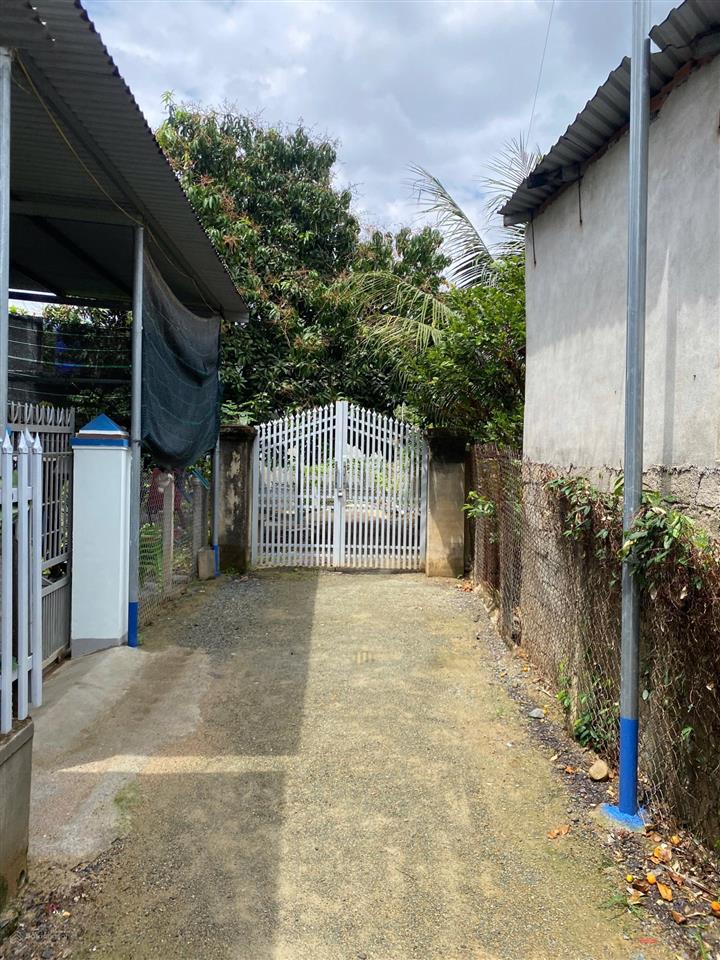 Chính chủ cần bán nhà cấp 4 + đất vườn, rộng 388,5m2. có sẵn cây ăn trái. gần trường học