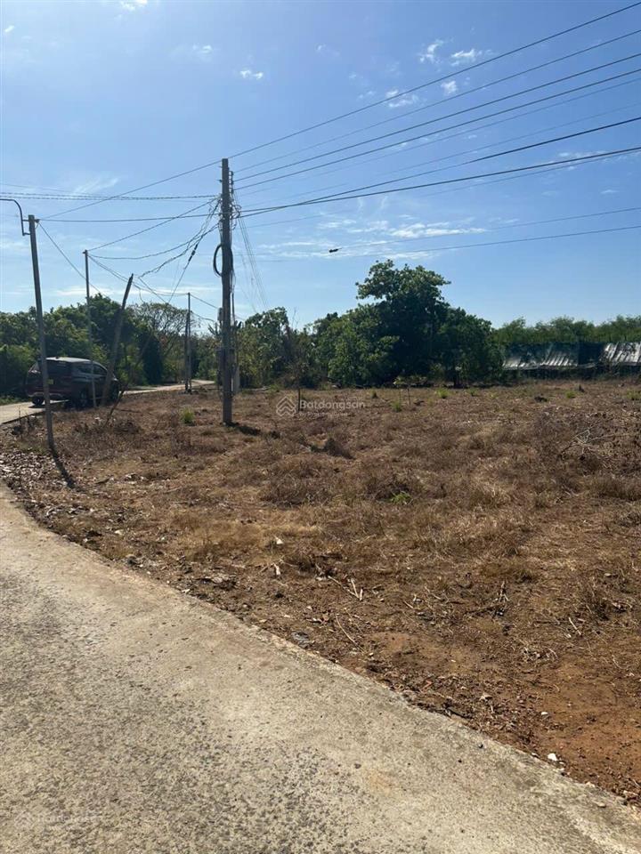 Bán đất xã tân tiến, bù đốp 1.037m2 sổ hồng riêng, thổ cư sẵn 400m2. có bán lẻ từng lô. chính chủ