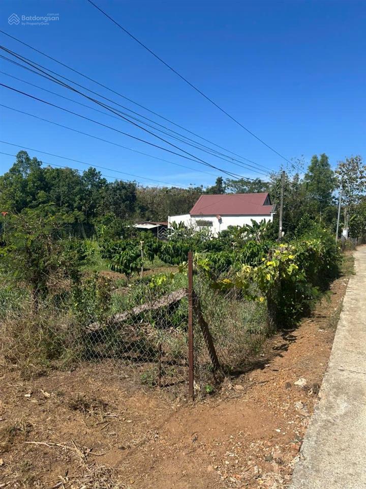 Bán đất xã tân tiến, bù đốp 1.037m2 sổ hồng riêng, thổ cư sẵn 400m2. có bán lẻ từng lô. chính chủ