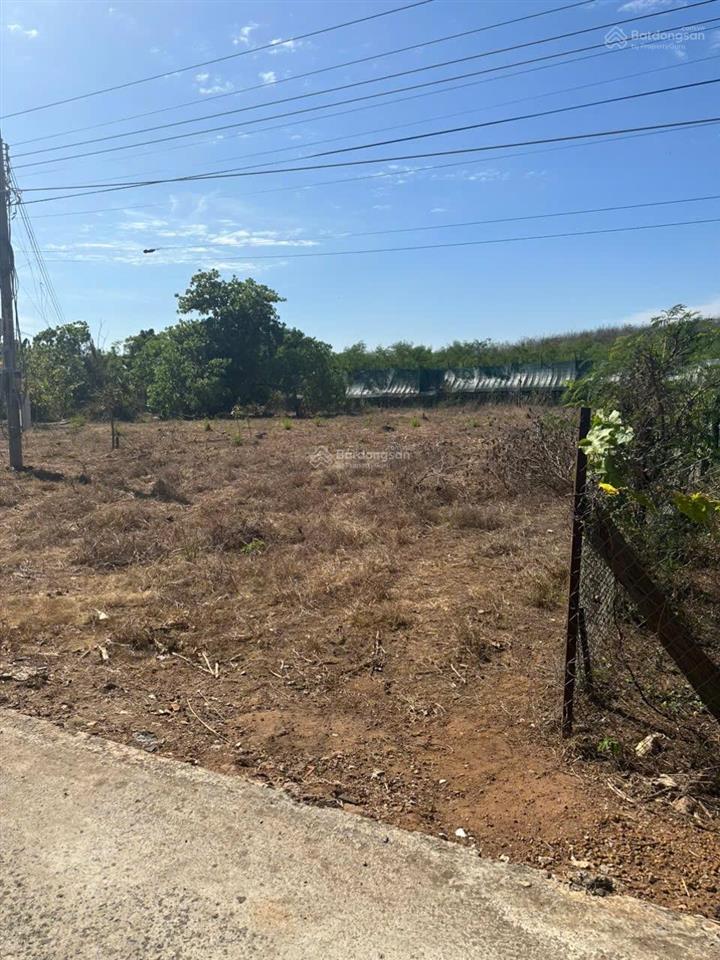 Bán đất xã tân tiến, bù đốp 1.037m2 sổ hồng riêng, thổ cư sẵn 400m2. có bán lẻ từng lô. chính chủ