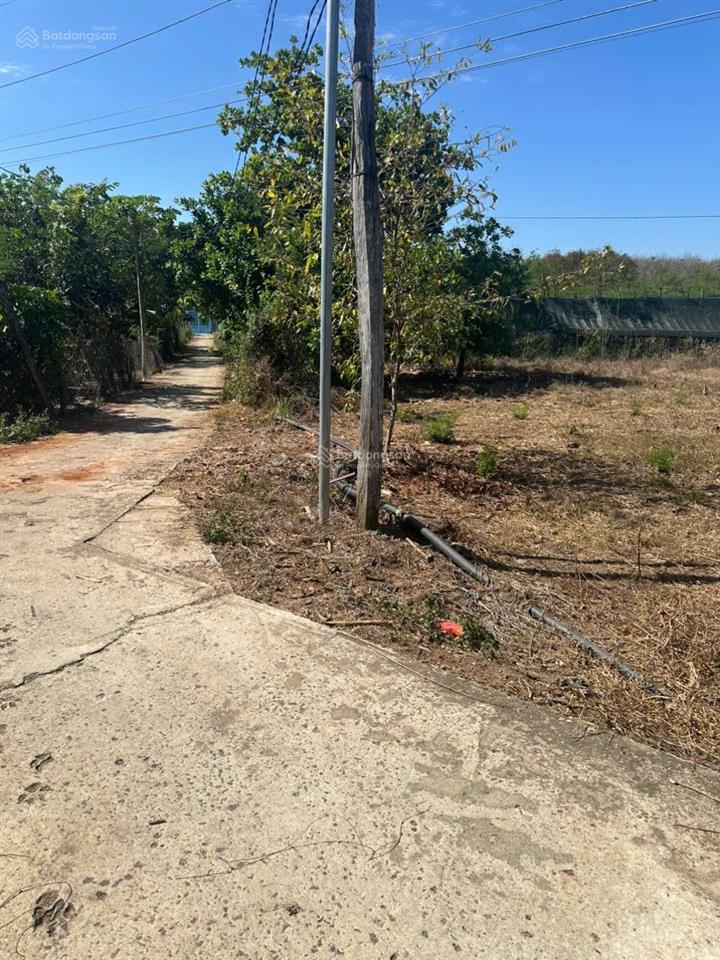 Bán đất xã tân tiến, bù đốp 1.037m2 sổ hồng riêng, thổ cư sẵn 400m2. có bán lẻ từng lô. chính chủ