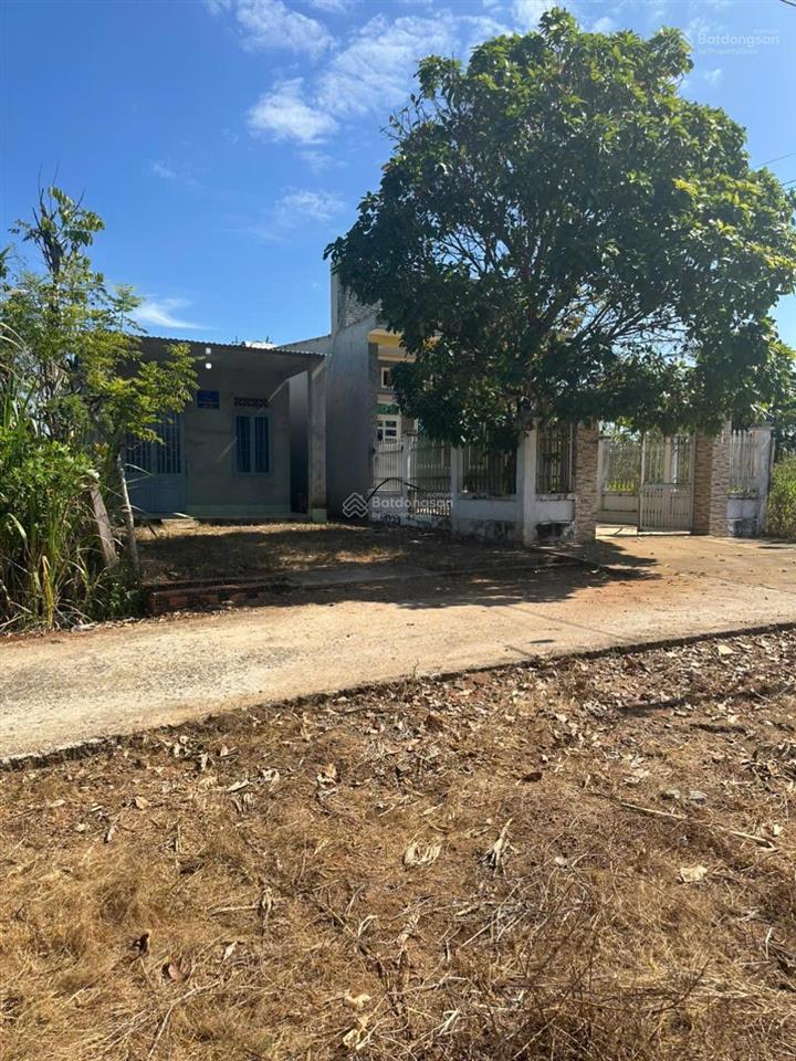 Bán đất xã tân tiến, bù đốp 1.037m2 sổ hồng riêng, thổ cư sẵn 400m2. có bán lẻ từng lô. chính chủ