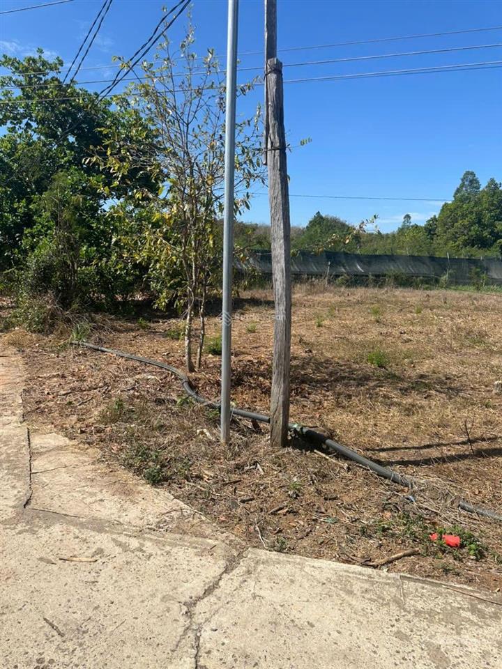 Bán đất xã tân tiến, bù đốp 1.037m2 sổ hồng riêng, thổ cư sẵn 400m2. có bán lẻ từng lô. chính chủ