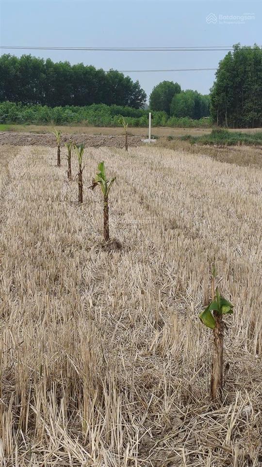 Đất trị an vĩnh cửu 100% quy hoạch đất ở  hình thể siêu đẹp giá f0 cực hời!