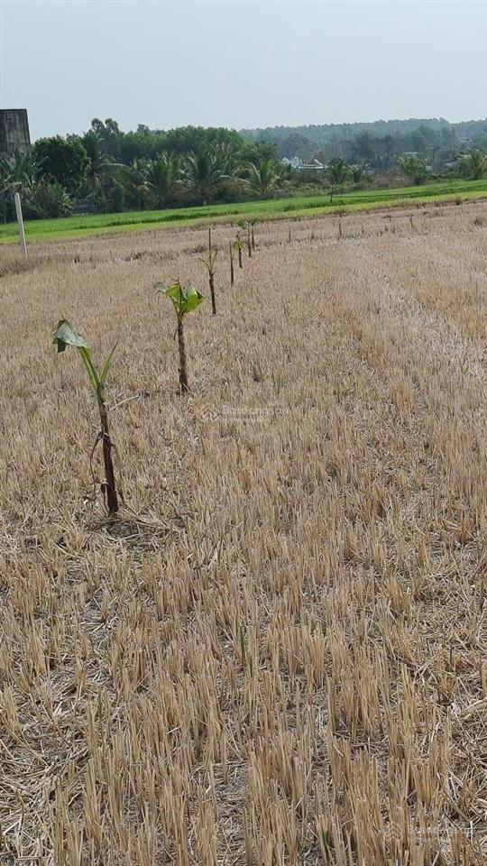 Đất trị an vĩnh cửu 100% quy hoạch đất ở  hình thể siêu đẹp giá f0 cực hời!