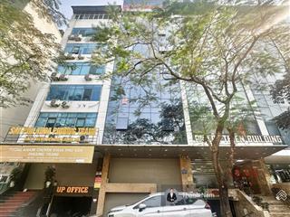 Chính chủ cho thuê tòa nhà văn phòng tại 8/75 trần thái tông dt 125m2 x 9 tầng 1 hầm giá 220 triệu