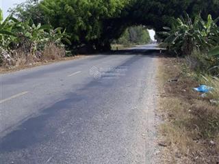 Bán đất tại quốc lộ n2, 3,65 tỷ, 210 m2, đẹp, nhiều tiện ích