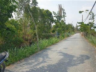 Cần tiền hạ giá bán 4800m2 thổ cư tt tân túc bình chánh