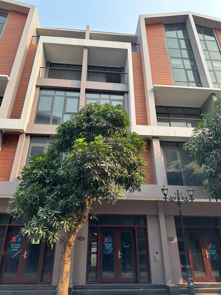 Chính chủ cần tiền bán gấp shophouse vinhomes ocean park 3. 56m2 giá 8,5 tỷ.