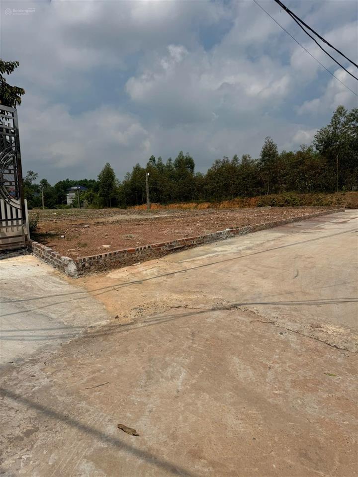 Nhỉnh 1 tỷ sở hữu ngay 100115m2 full thổ cư tại sóc sơn đón sóng hạ tầng