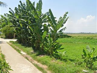 Bán đất xã diễn hoa diễn châu nghệ an  600m2