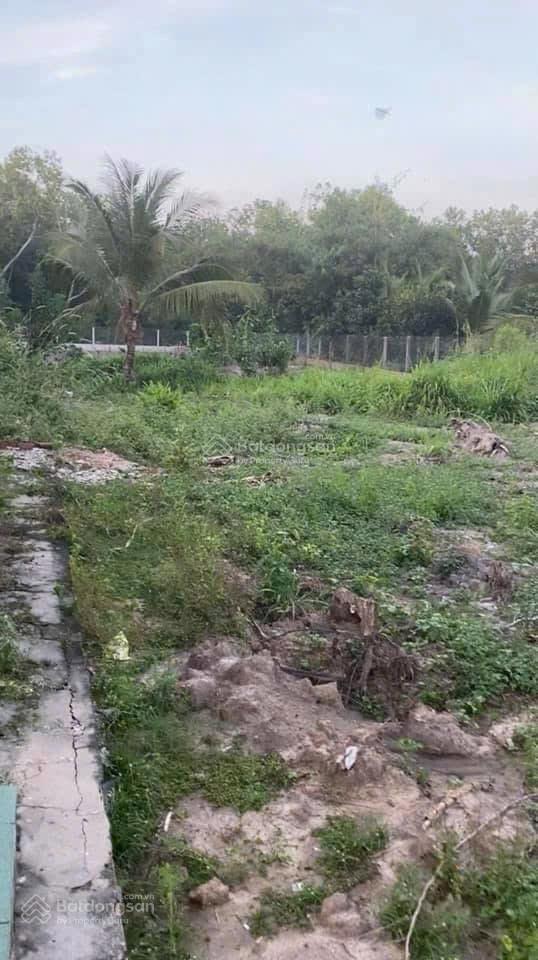 Chính chủ bán 2187m2 ngang 28m dài 72m, mặt tiền đường 5m. mặt đường kênh tam hạp cực phong thủy