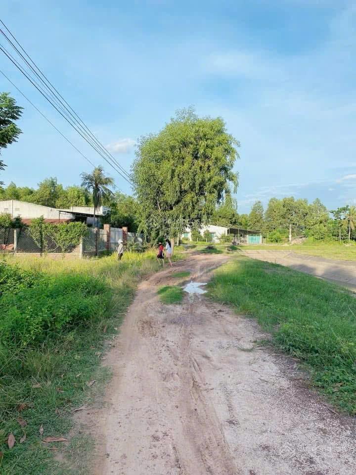 Chính chủ bán 2187m2 ngang 28m dài 72m, mặt tiền đường 5m. mặt đường kênh tam hạp cực phong thủy