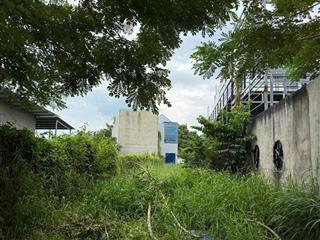 Bán đất nền mặt tiền đường bùi ngọc thu, phú an, tp. hcm (khu vực thủ dầu một cũ)