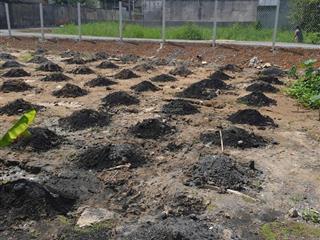 Xuất cảnh bán gấp  bán nhà quốc lộ 1a 2500m² 1 tầng  50 tỷ