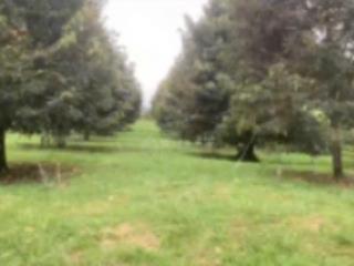 Bán trang trại thực tế hơn 3ha, cn 2.8 ha đất nông nghiệp mặt tiền quốc lộ 20