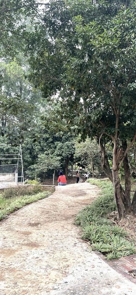 Mảnh đất còn sót lại tại tiên phong ba vì