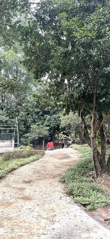 Bán nhà trung tâm xã tiên phong