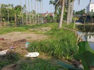 Bán đất nền thổ cư tại đại điền  tân viên  an lão  hải phòng