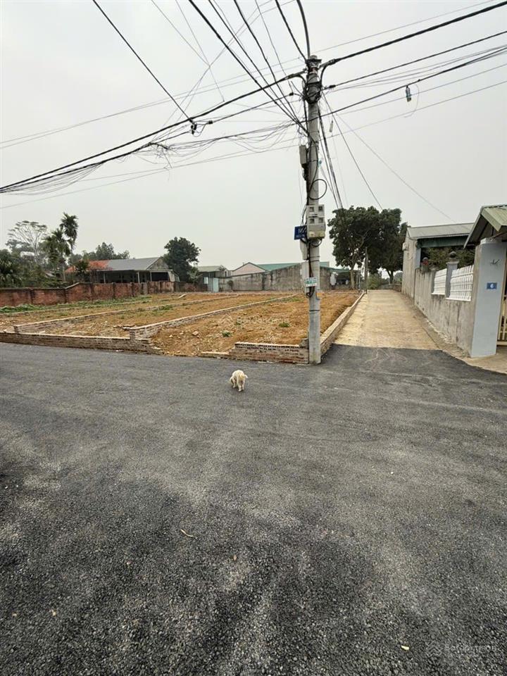 Chính chủ cần bán gửi lô góc trục chính ngã tư đường tại trại láng đoài phương cách ql21 1km