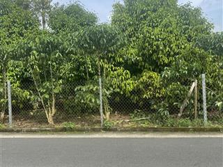 Bán đất mặt tiền hẻm 52 lữ gia .đất bằng phẳng đẹp .vuông vắn .có sẵn cây ăn trái .