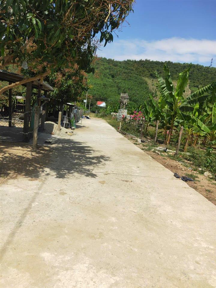 Chủ ngộp bán gấp 1850m2 đất vườn diên khánh nha trang shr 890tr chốt nhanh 790tr.  0909 573 ***