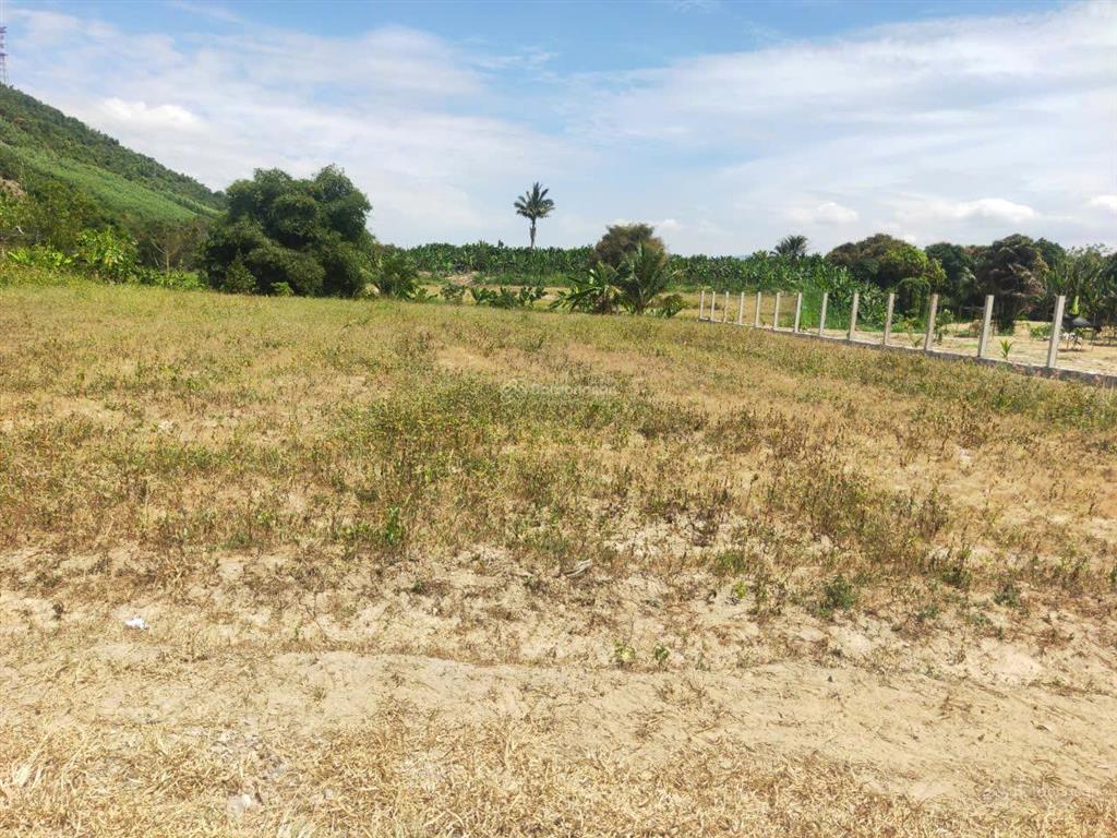 Chủ ngộp bán gấp 1850m2 đất vườn diên khánh nha trang shr 890tr chốt nhanh 790tr.  0909 573 ***