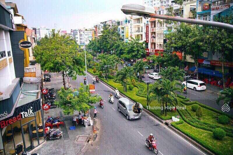 Siêu phẩm giá hời khu phan xích long, phú nhuận  dt 8x18m, hầm 4 tầng, hđt 150tr/th  giá 50 tỷ