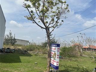 Bán đất tại xã nhơn hội, quy nhơn giá cực chất 1,35 tỷ, 100m2