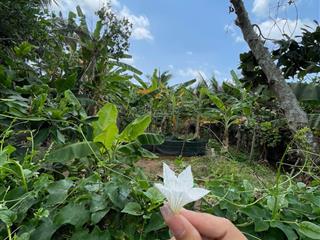 Đất f0 2tháng công chứng giá ngon bổ rẻ